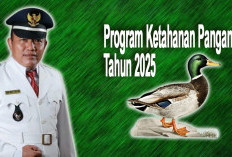 Desa Padang Ulak Tanjung Fokus Budidaya Bebek untuk Ketahanan Pangan 2025