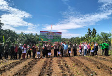 Pemdes Harapan Komitmen Wujudkan Swasembada Pangan Lewat Program Sadesahe dan Budidaya Ayam