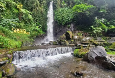 Mengeksplore Wisata Sekitar Gunung Ciremai, Mulai Dari Curug hingga Tempat Camping ada Semua!