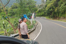 Hati-hati! Bahaya Pohon Tumbang dan Tanah Longsor, Kapolsek Taba Penanjung Imbau Masyarakat