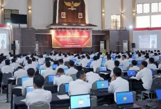Seleksi CPNS 2025 Guna Skema Terbaru, Cek Penjelasan BKN
