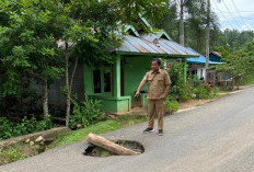 Akses Desa Sidodadi - Talang Boseng Amblas Timbulkan Lobang Besar di Badan Jalan