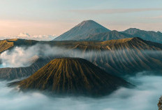 Eksplorasi Keindahan Alam Malang, Batu, dan Bromo Bersama Ongis Travel