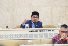 Hery Susanto Tersangka, Legislator Minta Ombudsman Lakukan Konsolidasi Internal