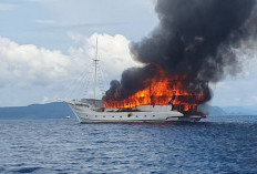 Kapal The Oceanik Terbakar di Perairan Raja Ampat, Begini Kondisi 23 Wisatawan