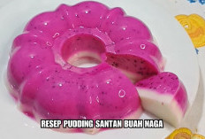 Bikinnya Simple, Resep Puding Santan Buah Naga Rasanya Enak Harganya Ekonomis