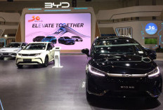 Dongkrak Share Market 2025, BYD Luncurkan Berbagai Produk Baru