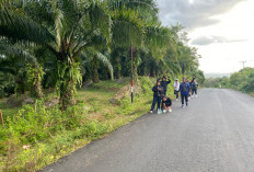 Semangat HUT RI, Warga Semidang Lagan Dukung Jalan Sehat Antar Desa