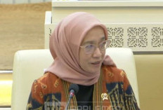 Jawab Isu Pemda Bakal Pecat PPPK, MenPAN-RB Berkata Tegas