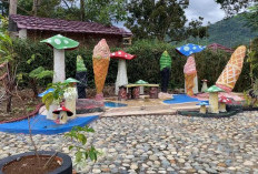 D'lebar Farm Bengkulu Tengah Sudah Dibuka: Wisata Keluarga dengan Beragam Fasilitas Seru