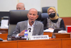 Tekan Cukai Ilegal, Legislator DPR Singgung Kebijakan Afirmasi Rokok Golongan III