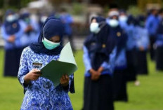 Penentuan Gaji PPPK Paruh Waktu Jangan Berdasar Klaster, 1 Maret Harus Cair