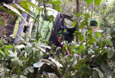 2 Truk Alami Kecelakaan Masuk Jurang di Liku Sembilan, 1 Pengendara Dilarikan ke Rumah Sakit