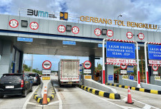 Minibus Tabrak Sapi di Tol Bengkulu, Sopir Selamat Mobil Ringsek