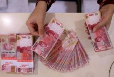PPN 12 Persen Berlaku, Dolfie DPR: Pemerintah Perlu Jelaskan Klasifikasi Barang Mewah
