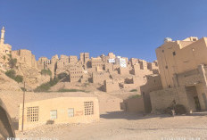 Tarim Habib