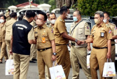 Banyak ASN Pensiun pada 2027, PPPK Dipastikan Aman