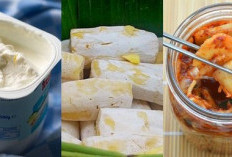 Rekomendasi 7 Makanan Fermentasi Terbaik, Bagus untuk Kesehatan Pencernaan