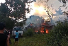 Kebakaran Hanguskan Rumah Kayu Tanpa Penghuni di Dekat Tol Taba Penanjung-Bengkulu