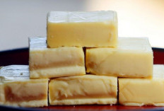 3 Pilihan Makanan Kaya Protein yang Baik untuk Tubuh