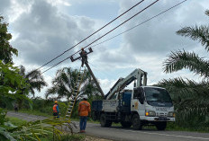 2 Tiang Listrik Roboh, Pemadaman Listrik Makan Waktu 10 Jam