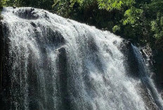 Diminta Hidupkan Kembali Wisata Curug Cai, Kades Bukit Sentil Dinas Perihal Ini