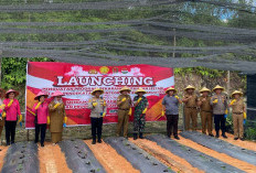 Lahan Pekarangan Polres Bengkulu Tengah Jadi Pusat Ketahanan Pangan Dukung Program Makan Bergizi Gratis