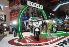Ratusan Pengunjung Mampir ke Booth Honda di IIMS 2025, Wahana Beri Apresiasi