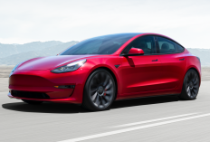 Tesla Pangkas Harga Model 3 Versi Long Range, Jadi Sebegini