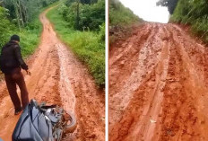 Akses Jalan Bak Kubangan Kerbau Viral Sebabkan Pelajar Kendarai Motor Terjatuh, Kades: