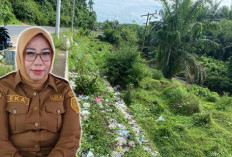 Aksi Cepat DLH Bengkulu Tengah Tangani Sampah, Libatkan Camat dan Kades Setempat