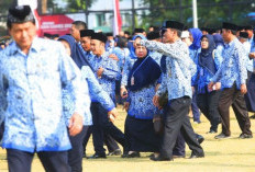 Revisi UU ASN 2023: PPPK Berubah Total, Alih Status jadi PNS Mendapat Angin Surga