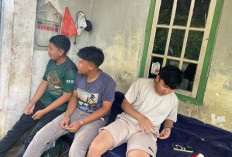 Harapan Karang Taruna Bengkulu Tengah Terhadap Bupati Baru: Turnamen Futsal dan Kegiatan Bersama Masyarakat