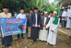 Salat Idul Adha di Pekik Nyaring, Bupati Rachmat Serahkan Sapi Kurban dan CSR Bantu Masjid