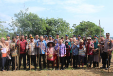 Wujudkan Swasembada Pangan, Penanaman Padi Gogo Dilaksanakan di Bengkulu Tengah