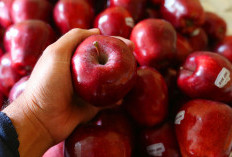 Hindari! 6 Makanan Ini Dapat Memicu Perut Kembung