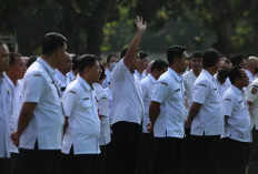 Pelamar Wajib Simak! Ini Syarat dan Ketentuan Pendaftaran PPPK Paruh Waktu 2025