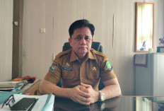 Sejumlah PPPK Paruh Waktu Belum Terima Gaji, Ini Penjelasan Sekda