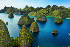 Ini Beberapa Alasan Mengapa Raja Ampat Menjadi Wisata Surganya Indonesia!