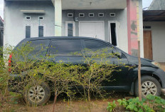 Terungkap! Ini Dia Peminjam Mobnas Avanza BD 1047 YY, BKD Layangkan Surat