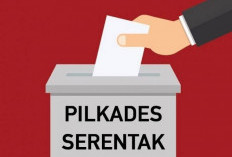 Ini Dia Daftar 46 Desa di Bengkulu Tengah Gelar Pilkades Serentak Tahun 2025 