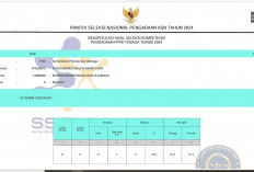 Pengumuman Hasil Seleksi PPPK Tahap 2 di Instansi Ini Lulus 100%