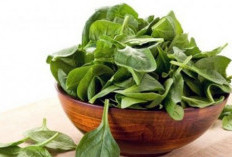 4 Makanan untuk Penderita Insomnia