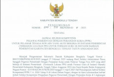 Pelaksanaan Ujian Seleksi PPPK Tahap II Bengkulu Tengah Mulai 10 Mei, 12 Peserta Dinyatakan TMS