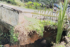 Jalan Desa Abu Sakim Jadi Jalan Alternatif Saat Jalan Nasional Tahap Perbaikan, Tapi Dampaknya Malah