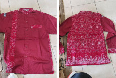 Seragam Batik Sungai Lemau Murid Dikeluhkan, Plt Kadis Dikbud Minta Sekolah