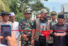 Percepat Pemulihan Infrastruktur Pascabanjir, 8 Jembatan Bailey Dibangun di Aceh Timur