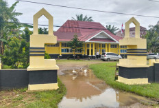 Genangan Air di Pintu Masuk Kantor Camat Jadi Tempat Bermain Bebek, Kepedulian Camat Dipertanyakan