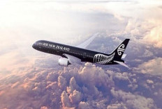 Air New Zealand Lebarkan Sayap Penerbangan Sepanjang Tahun dari Bali