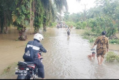 Banjir Kembali Genangi Jalan Utama Desa Pagar Dewa, Akses ke Sekolah Terhambat